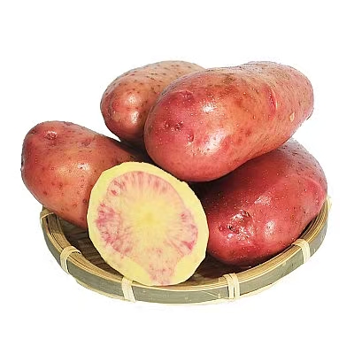 【生鲜预定】七彩土豆 1kg