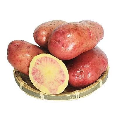 【生鲜预定】七彩土豆 1kg 商品图0