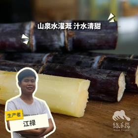 有机建阳甘蔗（极兔快递） | 合作生产 *Organic Jianyang Sugarcane | Partner Production