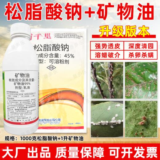 矿物油松脂酸钠套餐果树清园剂柑橘树介壳虫红蜘蛛专用清园剂农用 商品图2