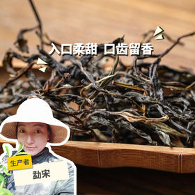 生态古树生普茶  | 合作生产 * Eco-Sampu tea | Coproduction