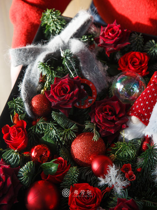 诞愿美好 商品图1