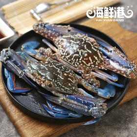 26年海鲜港698型-福蟹临门