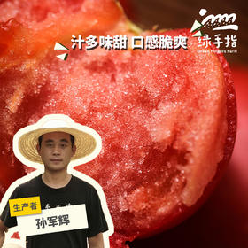 生态西红柿（北京） 合作生产*Ecological tomato| Partner Production