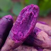 【云南香芋紫薯】肉质细腻 软糯香甜 皮薄易剥 新鲜美味 解锁紫薯多样吃法 商品缩略图0