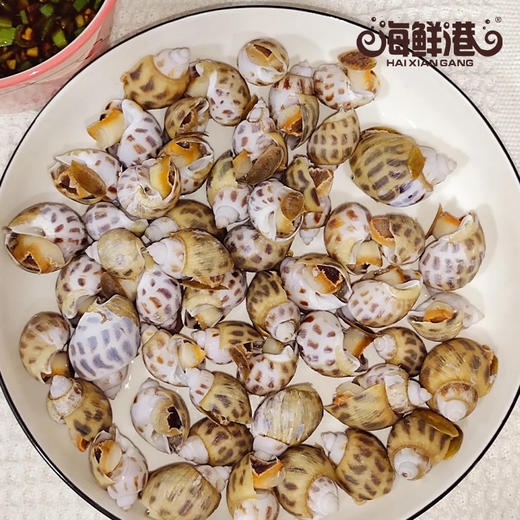 26年海鲜港498型-吉星高照（特价款） 商品图2