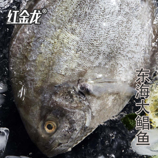 26年红金龙生鲜大礼包598型 商品图1