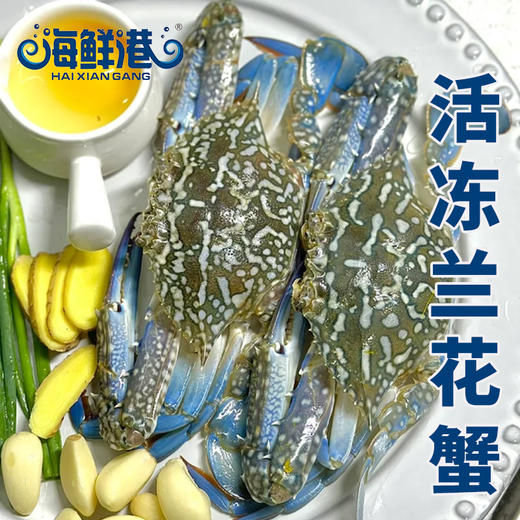 26年海鲜港698型-福蟹临门 商品图3