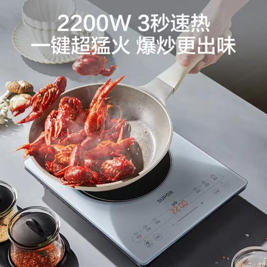 【苏泊尔】电磁炉_甄晶面板 双层线圈 22档调节_C22-IA922【天津】 商品图1