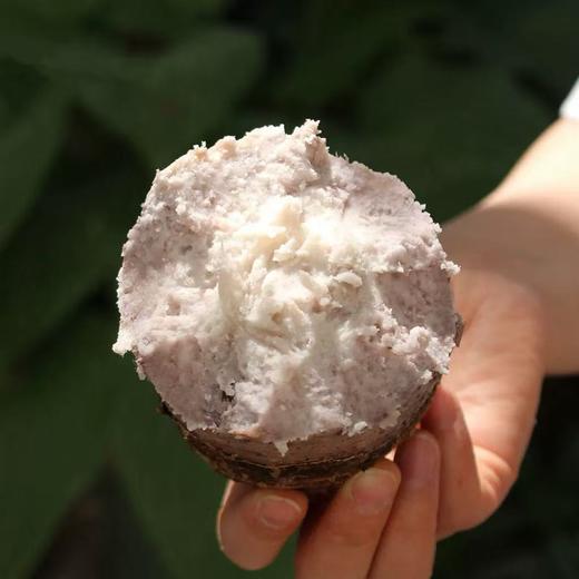 有机荔浦芋头 商品图1