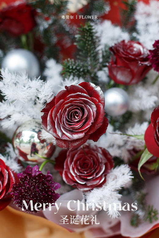 落雪红玫瑰 商品图3