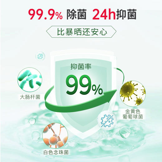 SukGarden蔬果园青蒿除菌内衣洗衣液-200g 商品图2