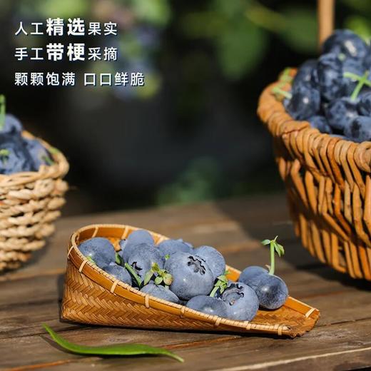 爱莓庄鲜梗蓝莓22mm+  150g/盒 商品图2