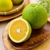 秭归橙 1kg/份（橙子/维C) 商品缩略图0