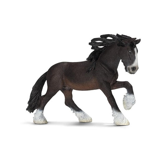 思乐 夏尔马种公马SCHC13734 商品图0