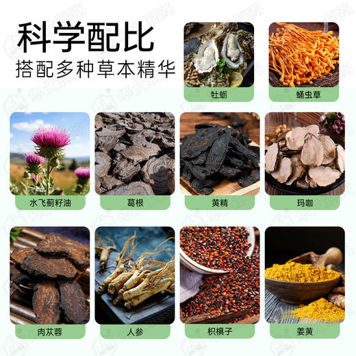 华北制药水飞蓟葛根人参特殊膳食    酒局加班HOLD住 商品图2