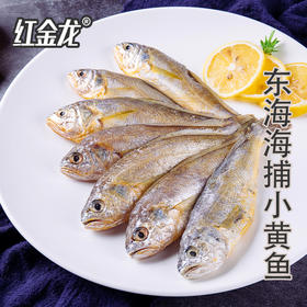 26年红金龙生鲜大礼包398型