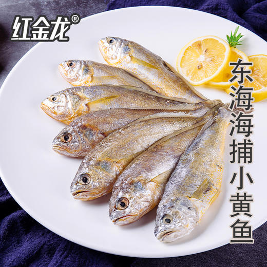 26年红金龙生鲜大礼包398型 商品图0