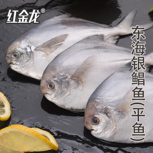 26年红金龙生鲜大礼包898型 商品图2