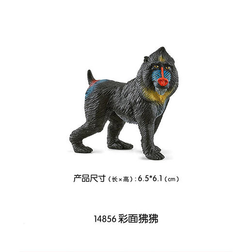 思乐 彩面狒狒SCHC14856 商品图0