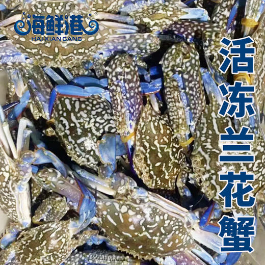 26年海鲜港698型-福蟹临门 商品图4