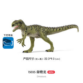 思乐 单脊龙SCHC15035