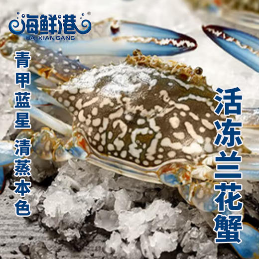 26年海鲜港698型-福蟹临门 商品图1
