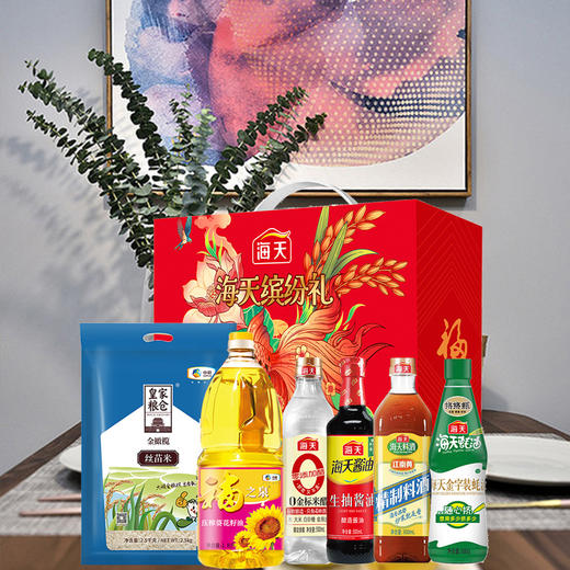 海天缤纷礼调味粮油套装E 商品图1