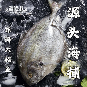 26年海鲜港398型-阖家幸福（特价款）