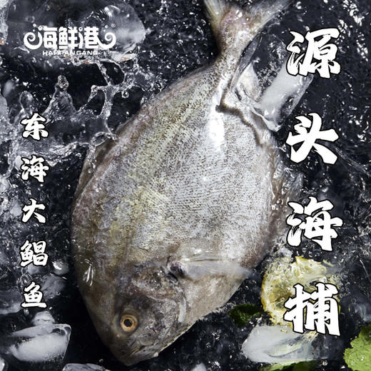 26年海鲜港398型-阖家幸福（特价款） 商品图0