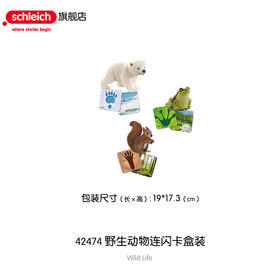 思乐 野生动物连闪卡盒装玩具SCHC42474