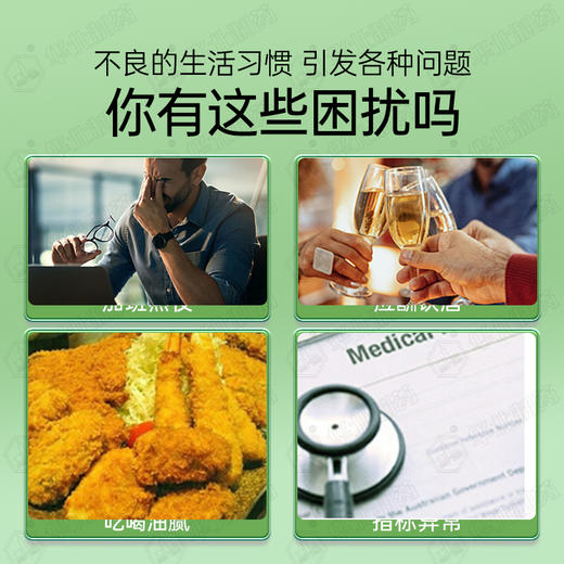 华北制药水飞蓟葛根人参特殊膳食    酒局加班HOLD住 商品图1