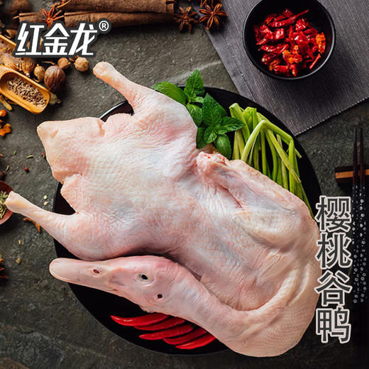 26年红金龙生鲜大礼包898型 商品图7