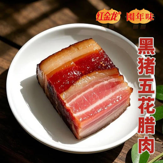 26年红金龙年味礼盒398型-福味礼 商品图2