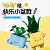 乐高LEGO 快乐盆栽LEGC10349 商品缩略图1