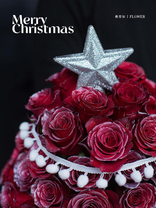 摘星为礼 商品图1