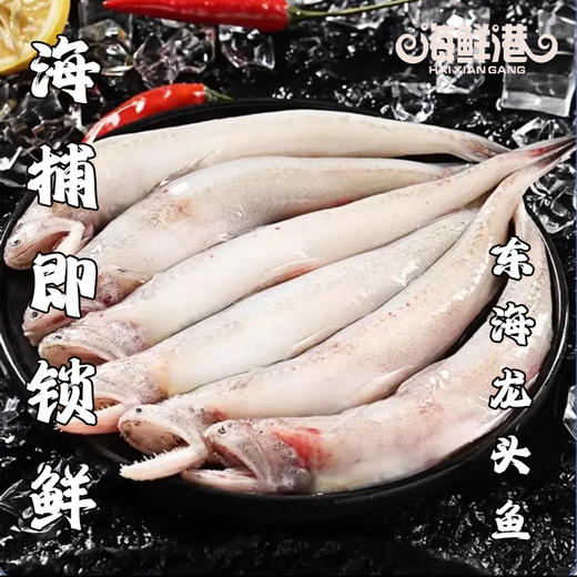 26年海鲜港598型-鹏程万里 商品图0