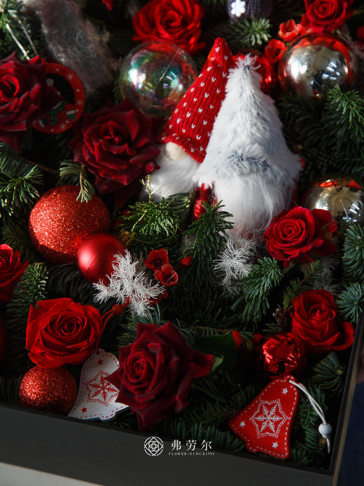 诞愿美好 商品图2