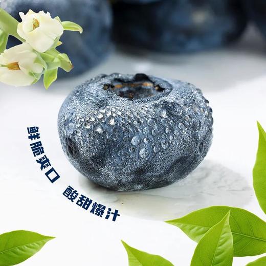 爱莓庄鲜梗蓝莓18mm+  150g/盒 商品图3