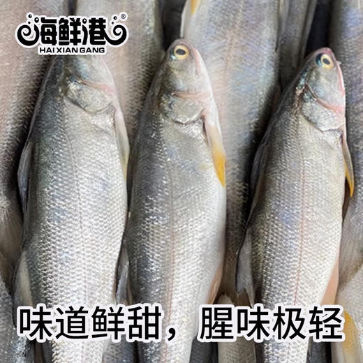 26年海鲜港358型-马上有鱼（特价款） 商品图1