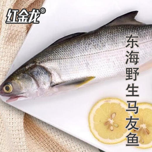 26年红金龙生鲜大礼包598型 商品图3