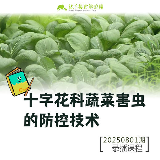 十字花科蔬菜害虫的防控技术【线上】课程 商品图0