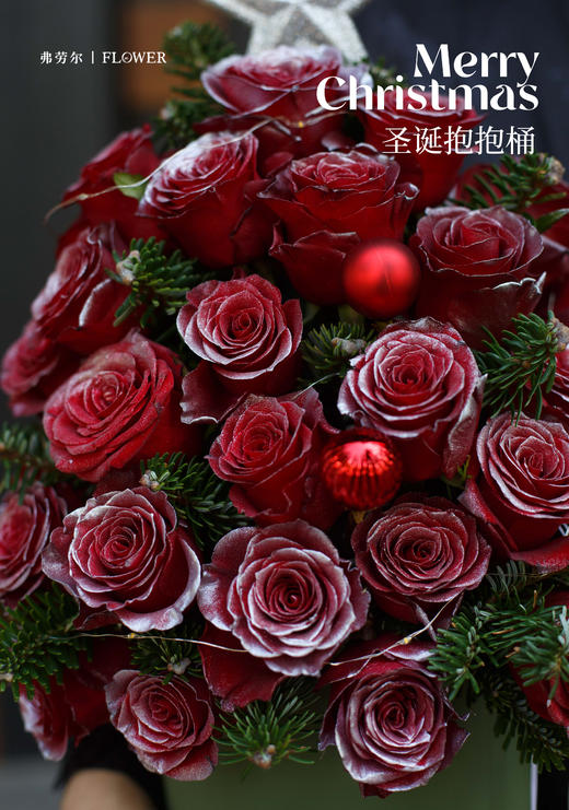 陪你看初雪 商品图1