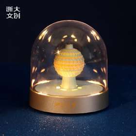 浙江大学灿若星辰拍拍灯