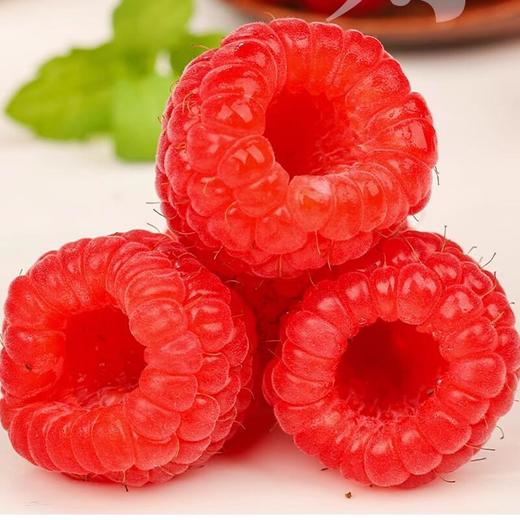 怡颗莓红丝绒树莓 110g/盒 商品图3