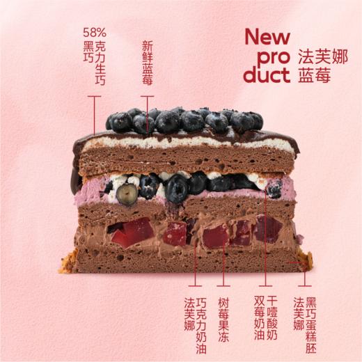 蓝莓多多 · 法芙娜蓝莓 商品图1