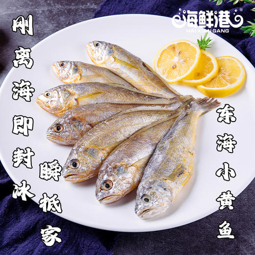 26年海鲜港398型-阖家幸福（特价款） 商品图2