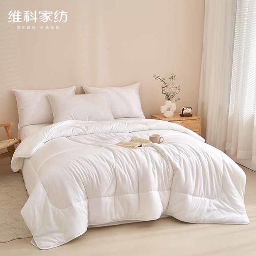 四季沐春抑菌纤维被 商品图1