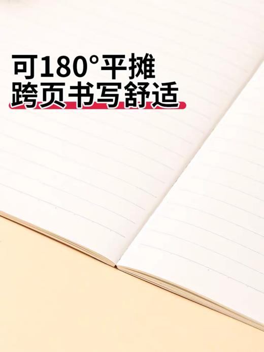 日本KOKUYO国誉 Illustrator无线装订本B5 商品图7