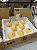 维纳斯 黄金苹果 纯甜无酸 清脆香甜 多汁 商品缩略图4